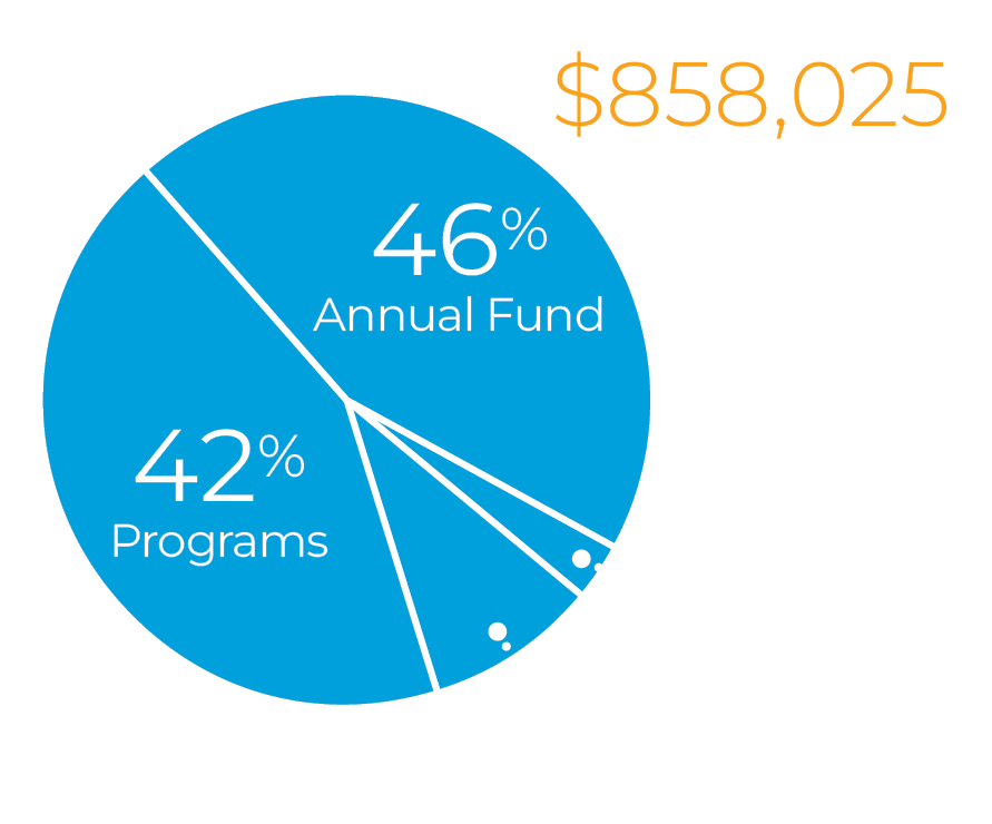 Total Giving Pie Chart: Total %858,025 - 46% Annual Fund, 42% Programs, 9% Endowment, 3% Annual Restricted