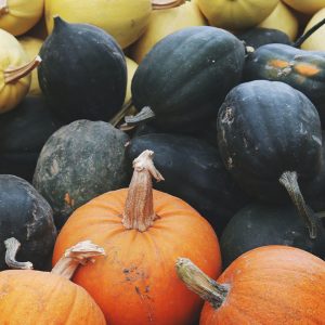 Pumpkins and gourds