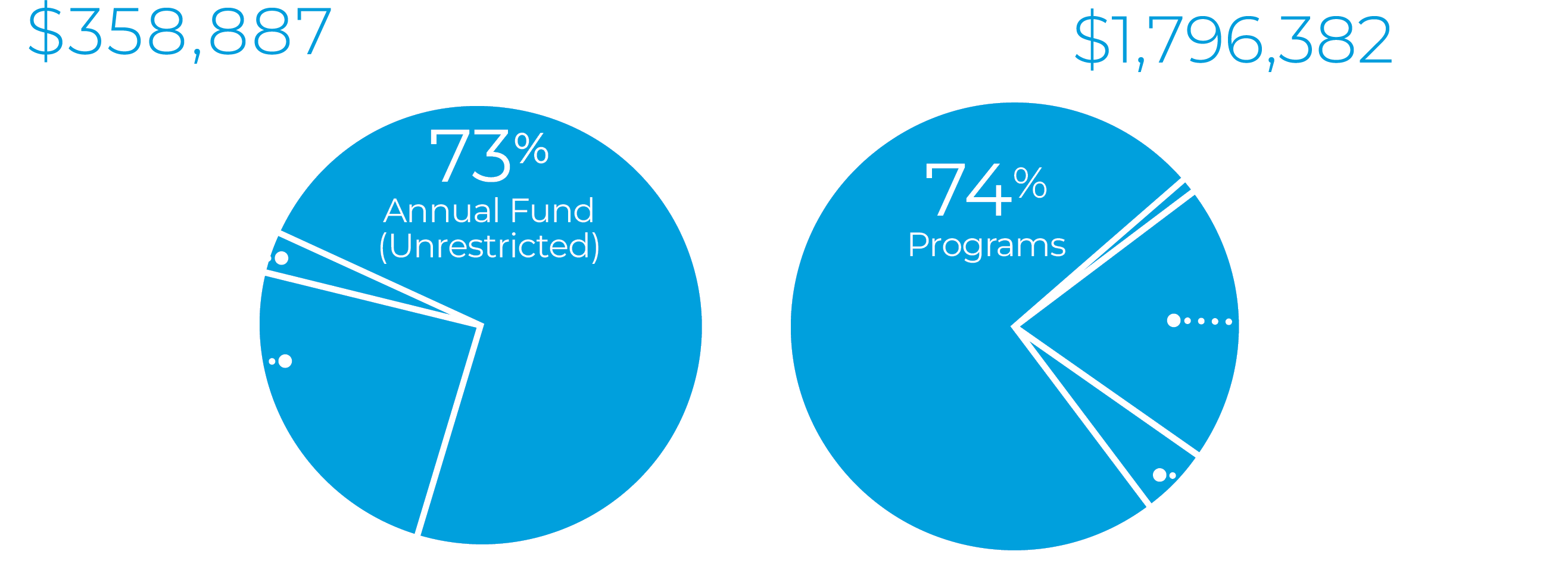Two Pie Charts. The first is for "Annual Giving", showing: 73% Annual Fund (Unrestricted), 24% Disciples Mission Fund (Unrestricted), and 3% Annual Restricted. The second pie chart is for "Total Giving", showing: 74% Programs, 20% Unrestricted, 5% Endowment, and 1% Annual Restricted.