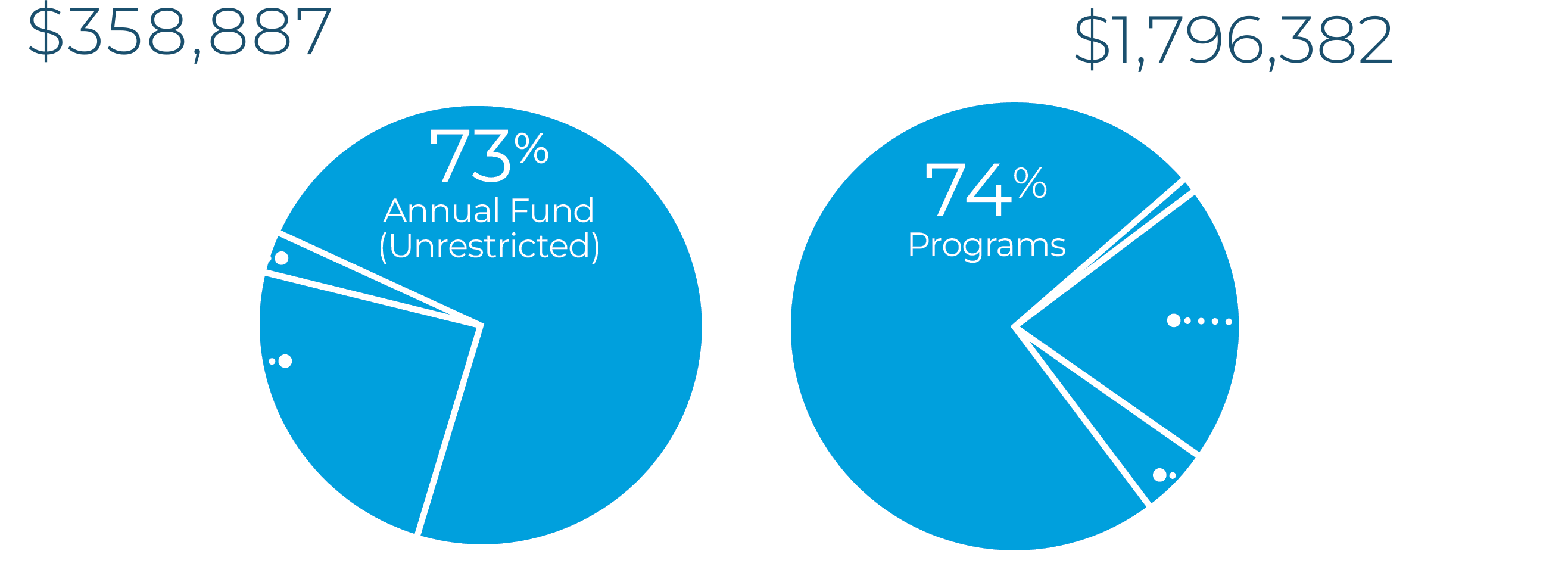 Two Pie Charts. The first is for "Annual Giving - $358,887", showing: 73% Annual Fund (Unrestricted), 24% Disciples Mission Fund (Unrestricted), and 3% Annual Restricted. The second pie chart is for "Total Giving - $1,796,382", showing: 74% Programs, 20% Unrestricted, 5% Endowment, and 1% Annual Restricted.